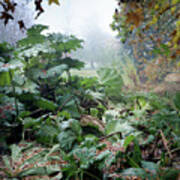 Autumn Mist, Great Dixter Garden Art Print