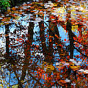 Autumn Reflections Art Print