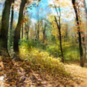 Autumn Trail Art Print