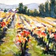 Autumn Vineyards Art Print