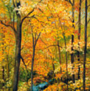 Autumn Woods Art Print