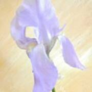 Baby Purple Iris Ii Art Print