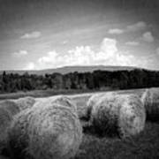 Bales In Monochrome Art Print