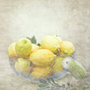 Banksia And Lemons Art Print