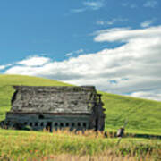 Barn And Birdhouse Art Print