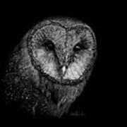 Barn Owl Ii Art Print