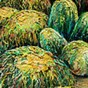 Barrel Cactus #2 Art Print