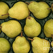 Bartlett Pears In A Packing Tray Art Print