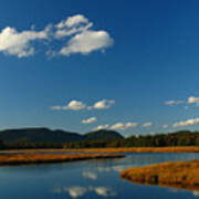 Bass Harbor Marsh Art Print