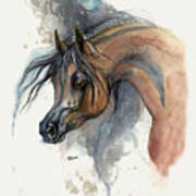 Bay Arabian Horse 2013 11 17 Art Print