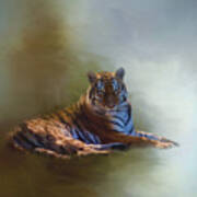 Be Calm In Your Heart - Tiger Art Art Print
