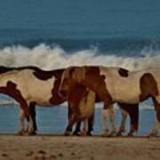 Beach Bum Ponies Art Print