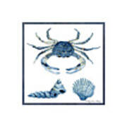 Beach House Sea Life Crab Turban Shell N Scallop Art Print