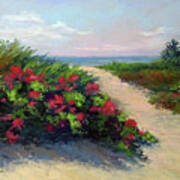 Beach Roses Art Print