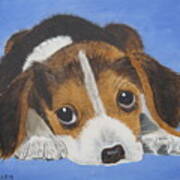 Beagle Sad Eyes Art Print