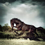 Beautiful Black Stallion Horse Running On The Stormy Sky Art Print