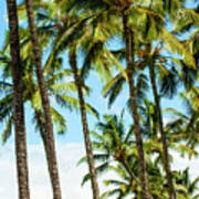 Beautiful Palms Of Maui 16 Art Print