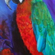 Becky The Macaw Art Print