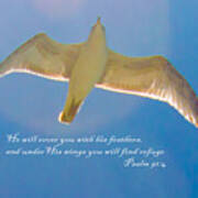 Under His Wings Iiia Art Print