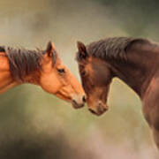 Best Friends - Two Horses Art Print