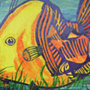 Big Fish In A Small Pond Art Print