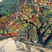 Big Oak In Niles Canyon Art Print