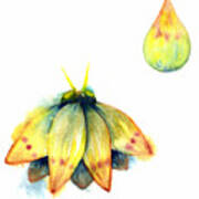 Bindu Moth Art Print