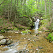 Birch Island Brook - Lincoln, New Hampshire Art Print