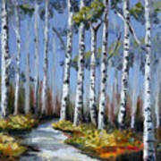 Birch Tree Path Art Print