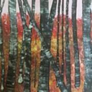 Birches In The Fall Art Print