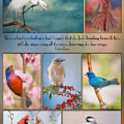 Bird Collage With Motivational Quote Art Print