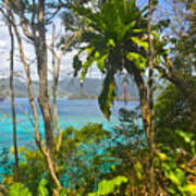 Bird Island Little Tobago Art Print