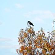 Bird On Tree Art Print