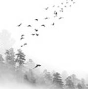 Birds In The Mist Art Print