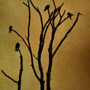 Birds In Tree Art Print