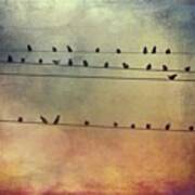 Birds On The Lines #stackablesapp Art Print