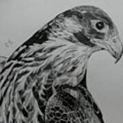 Birdy Art Print