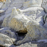 Bisti Badlands - Is That An Ice Sculpture Art Print