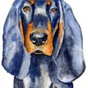 Black And Tan Coonhound Dog Art Print