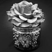 Black And White Rose Antique Mason Jar 2 Art Print