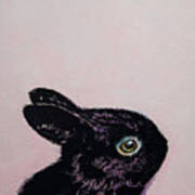 Black Bunny Art Print