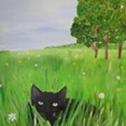 Black Cat In A Meadow Art Print