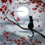 Black Cat In Silvery Moonlight Art Print