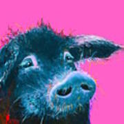 Black Pig Painting On Pink Background Art Print