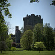 Blarney Castle Ireland Art Print