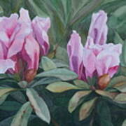 Blossoming Trio Art Print