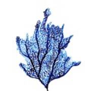 Blue Coral Art Print