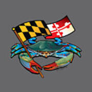 Blue Crab Maryland Flag Art Print