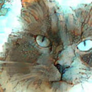 Blue Eyed Persian Cat Watercolor Art Print
