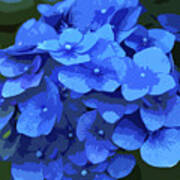 Blue Hydrangea Stylized Art Print